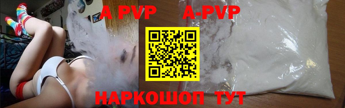 A-PVP СК КРИС Шадринск