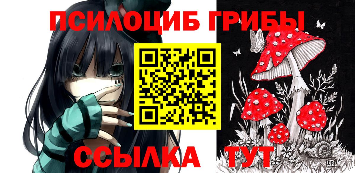 Галлюциногенные грибы прущие грибы Шадринск